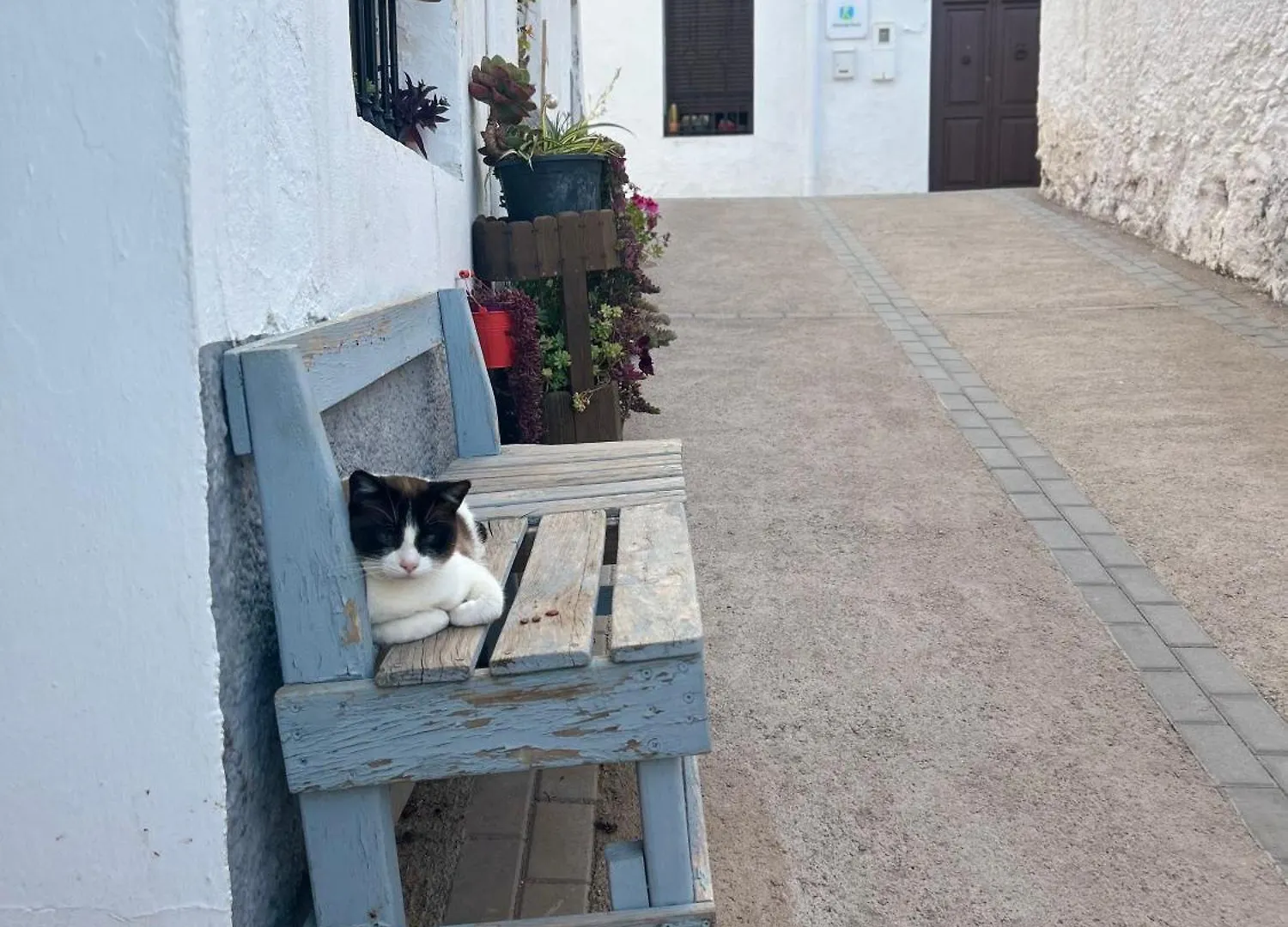 Preciosa Vivienda Rural En Felix, Alpujarra Almeriense España