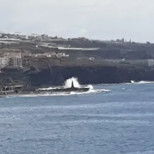 https://primera-linea-del-mar.in-canary-islands.com